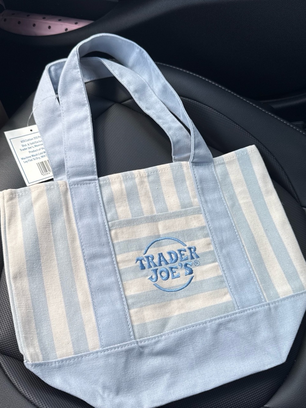 Trader Joe's Light Blue Striped Mini Tote Bag